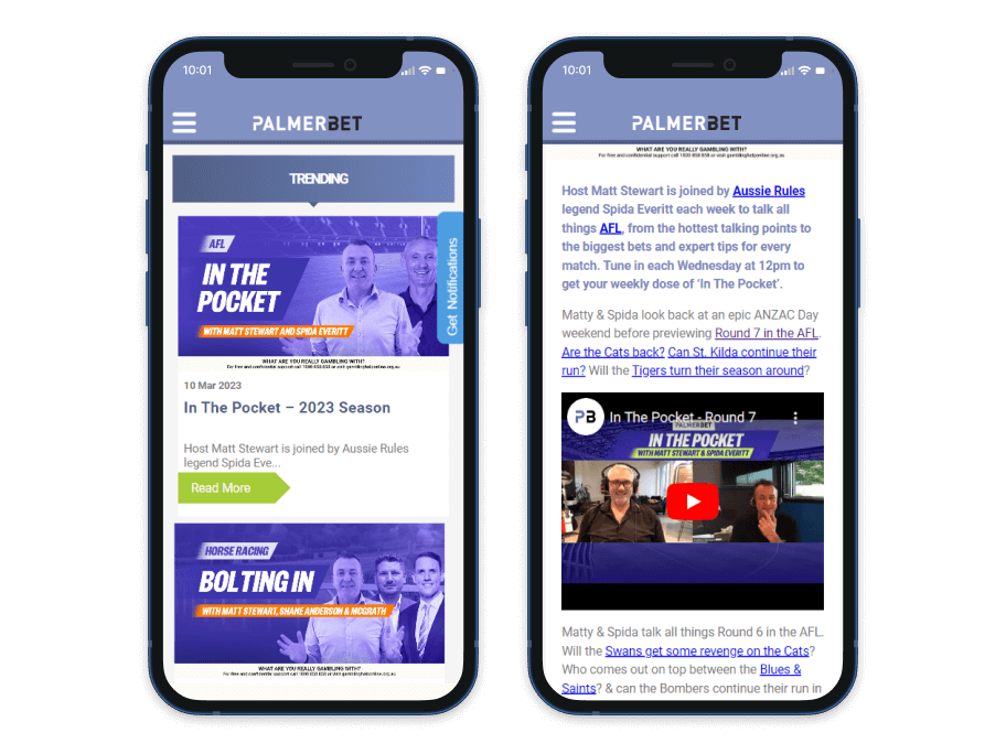 Palmerbet Screenshot